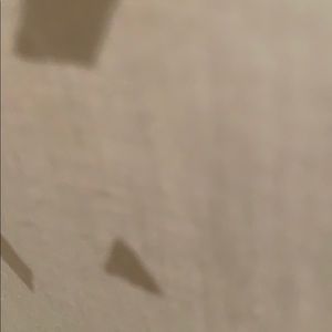 Meet your Posher, Delilah